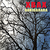 aokigahra